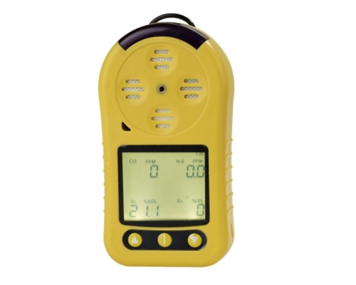 二合一气体检测报警仪检测